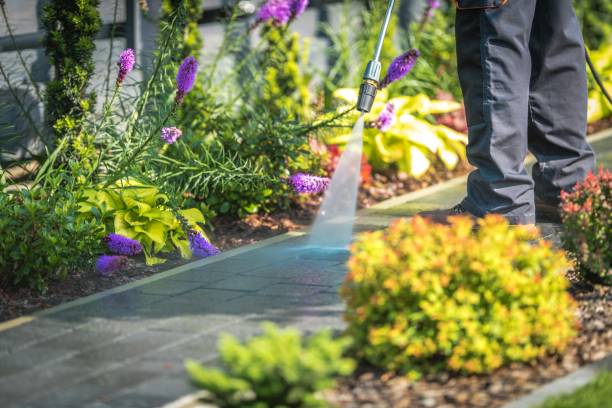 Best Machinery and Equipment Cleaning  in Forest City, NC