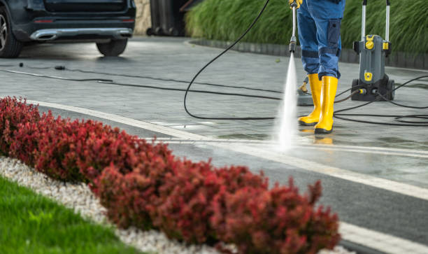 Best Driveway Pressure Washing  in Forest City, NC